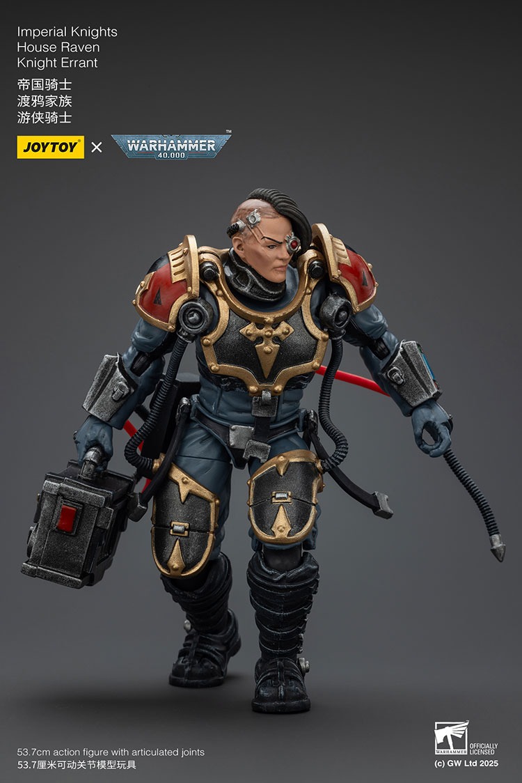 Imperial Knights House Raven Knight Errant 2 - JoyToy Mart
