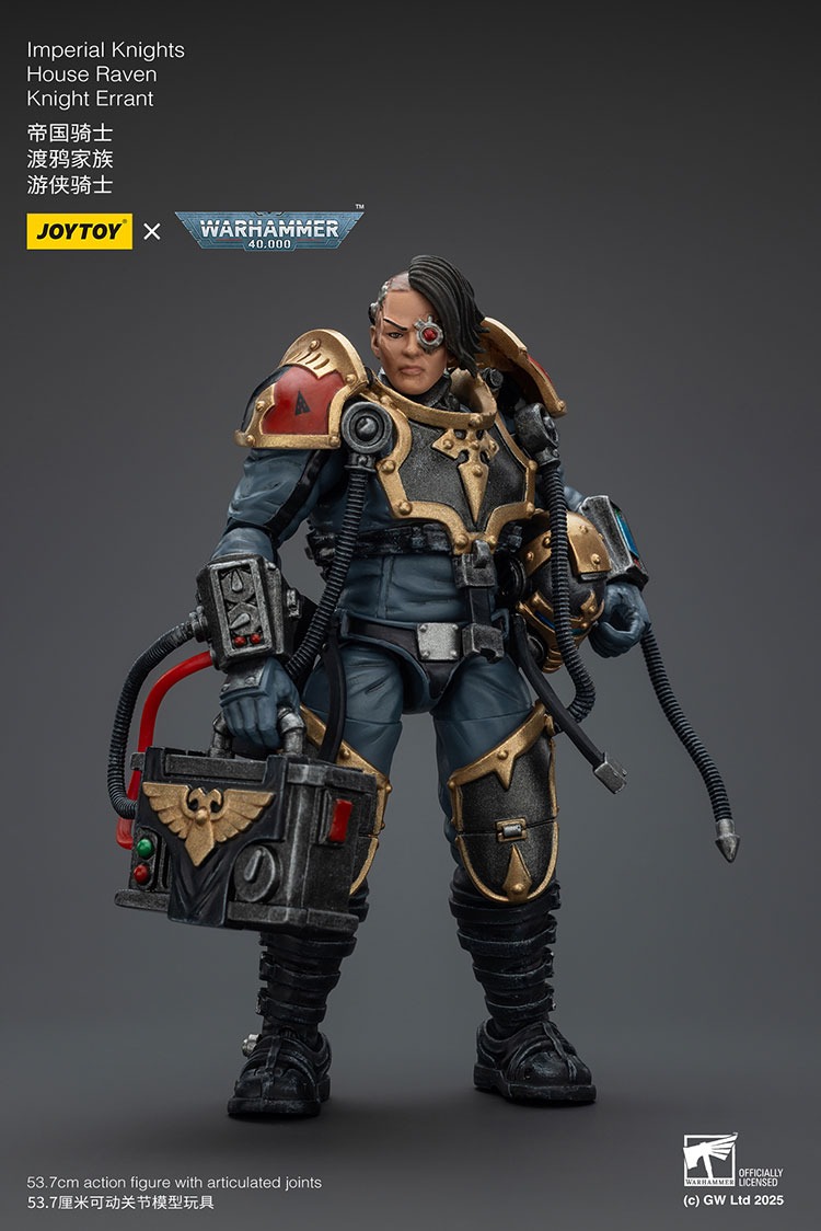 Imperial Knights House Raven Knight Errant 6 - JoyToy Mart