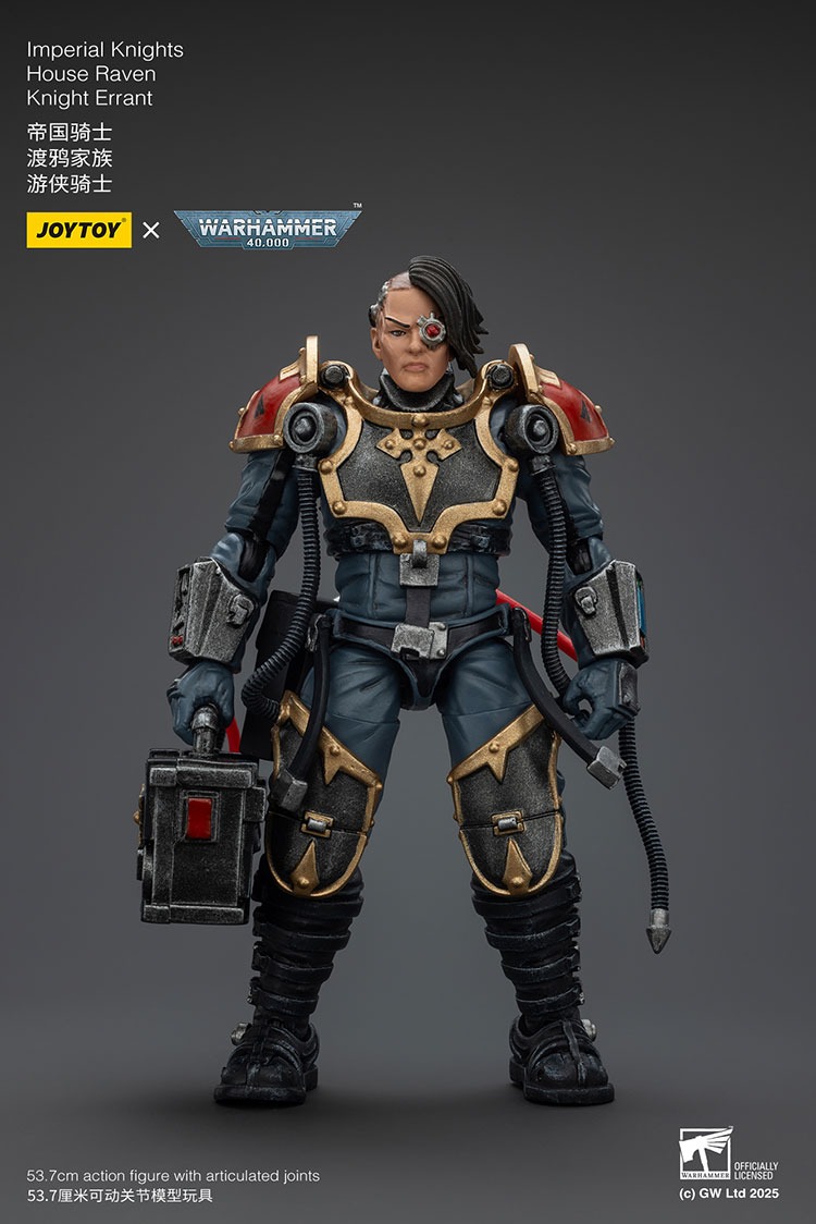 Imperial Knights House Raven Knight Errant - JoyToy Mart