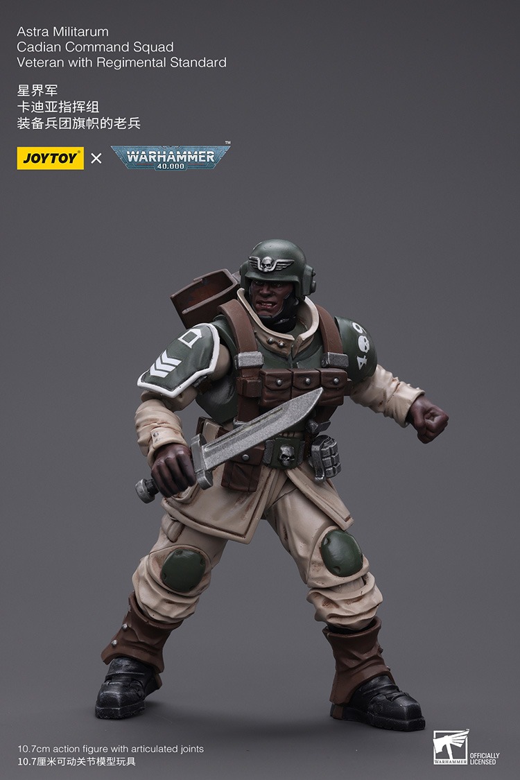 JoyToy Astra Militarum Cadian Command Squad Veteran with Regimental Standard 1 - JoyToy Mart