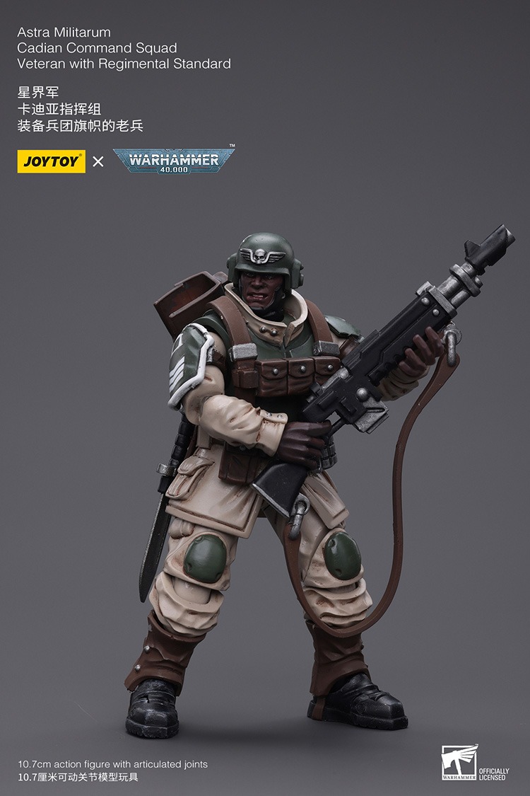 JoyToy Astra Militarum Cadian Command Squad Veteran with Regimental Standard 2 - JoyToy Mart
