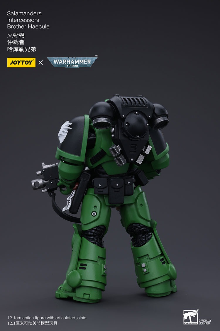 Salamanders Intercessors Brother Haecule 2 - JoyToy EU Store
