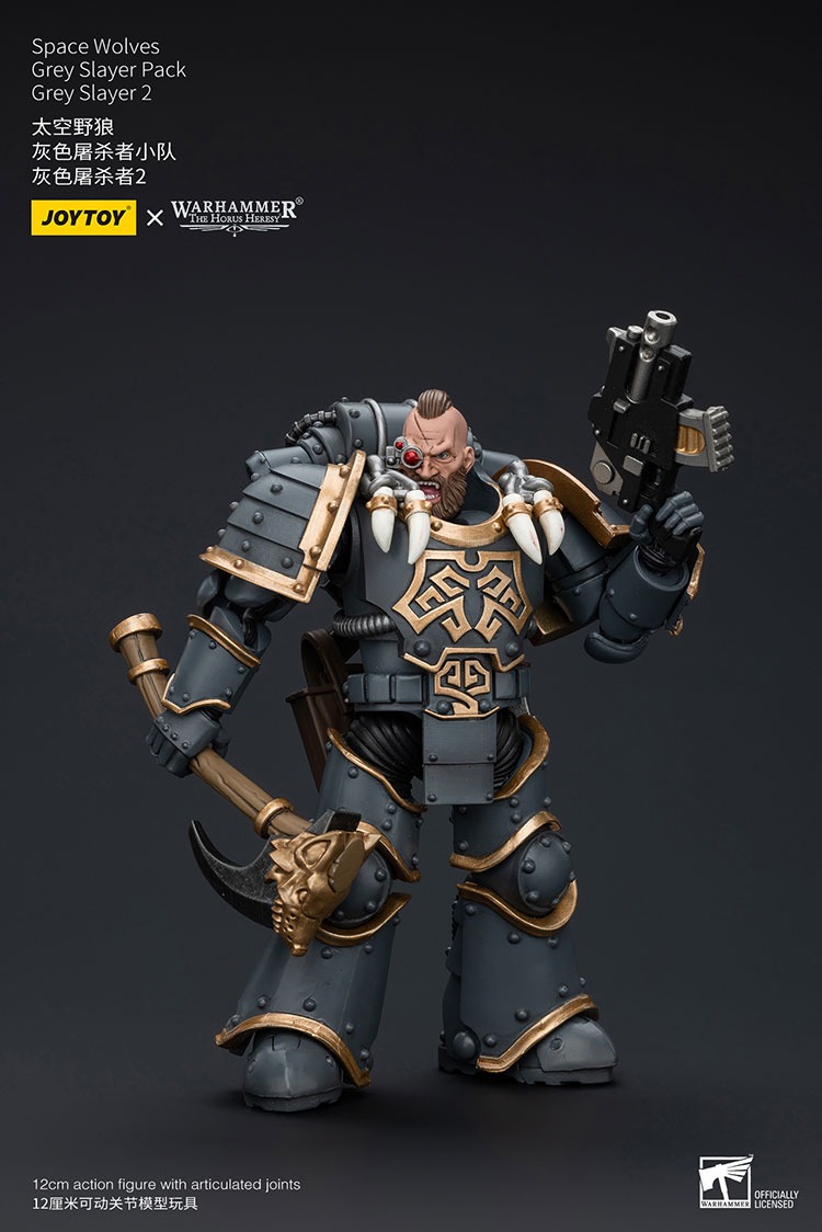 Space Wolves Grey Slayer Pack Grey Slayer 2 11 - JoyToy EU Store