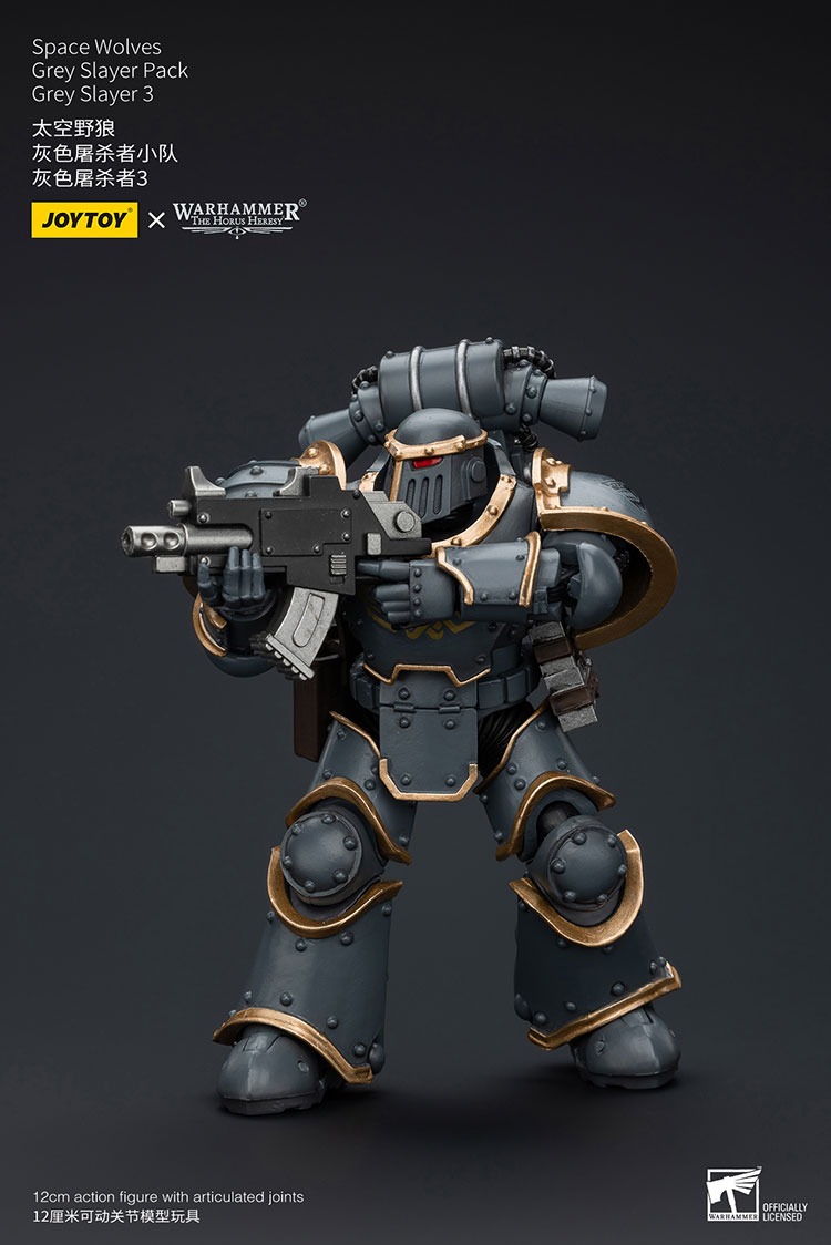 Space Wolves Grey Slayer Pack Grey Slayer 3 6 - JoyToy EU Store