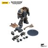 Space Wolves Grey Slayer Pack Grey Slayer with Legion Vexilla 4 - JoyToy Mart