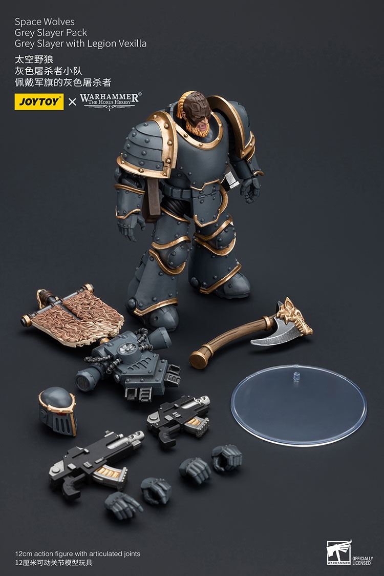 Space Wolves Grey Slayer Pack Grey Slayer with Legion Vexilla 5 - JoyToy EU Store