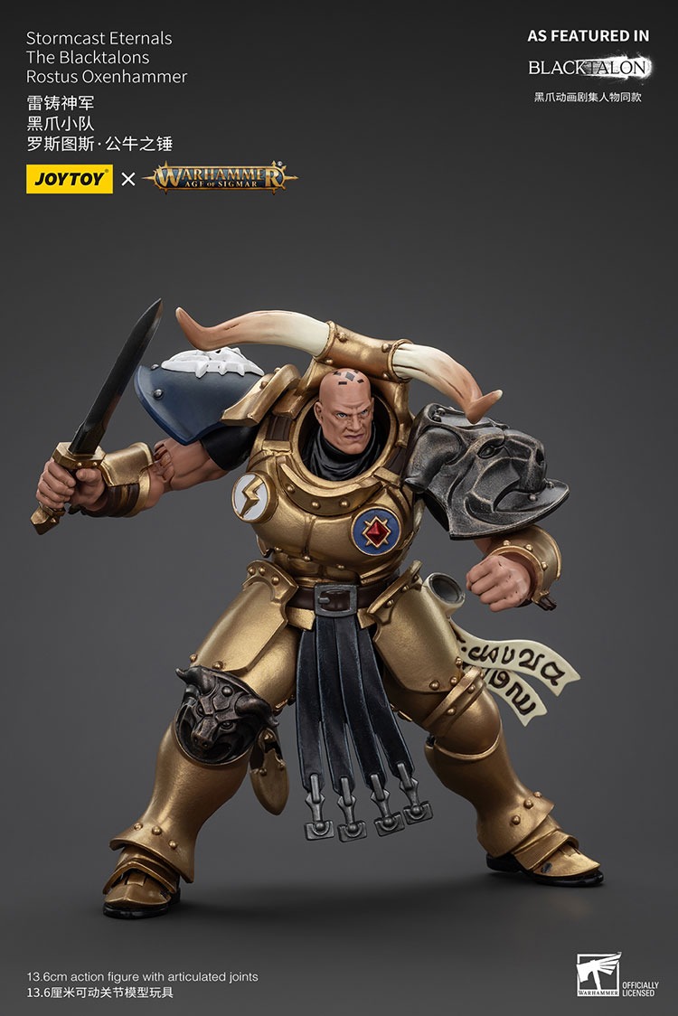 Stormcast EternalsThe Blacktalons Rostus Oxenhammer 6 - JoyToy Germany