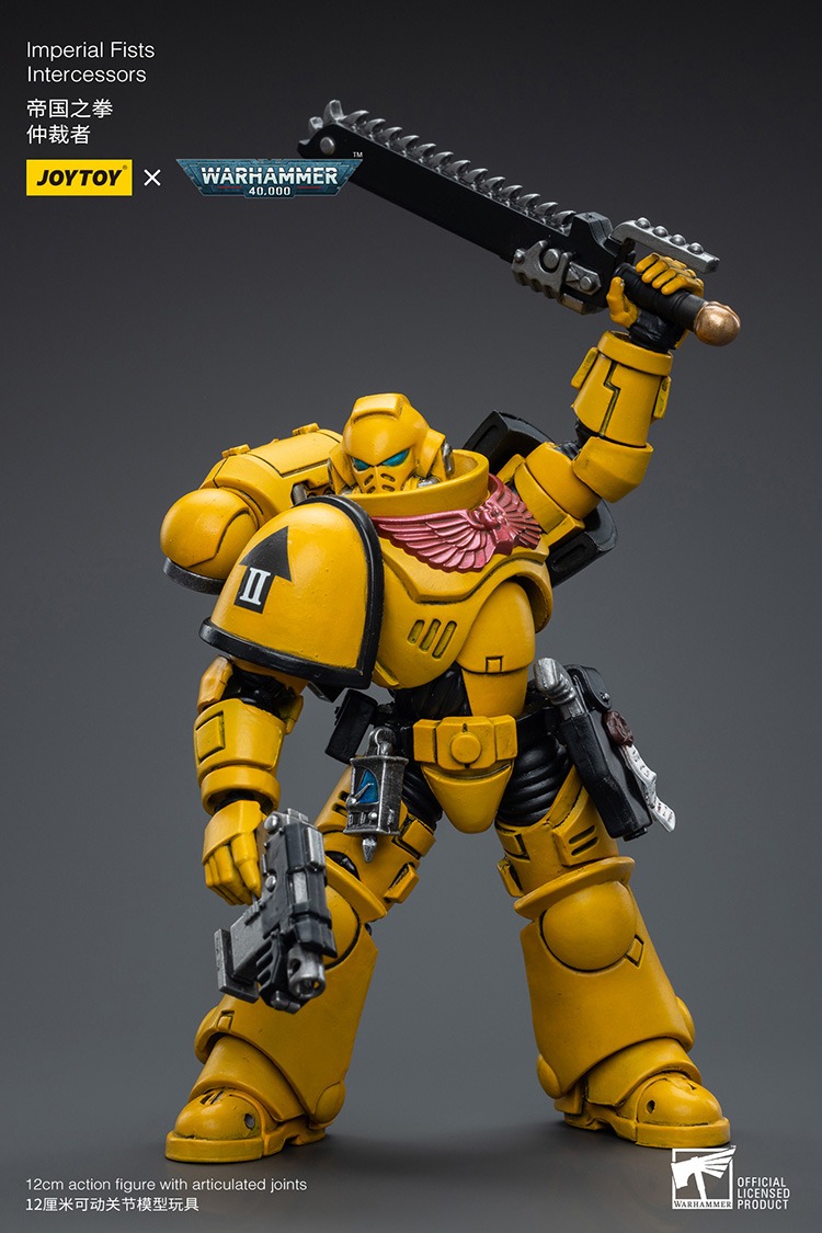 Imperial Fists Intercessors 2 - JoyToy Mart
